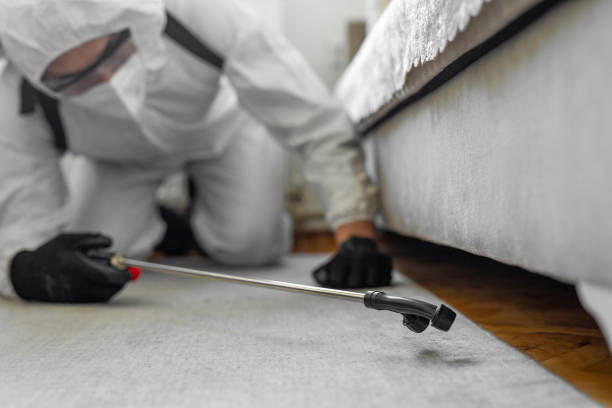 Professional Bed Bug Control technician working in West Babylon, NY