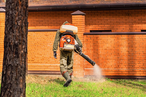Trusted Bed Bug Control service in West Babylon, NY - Nex Pest Control